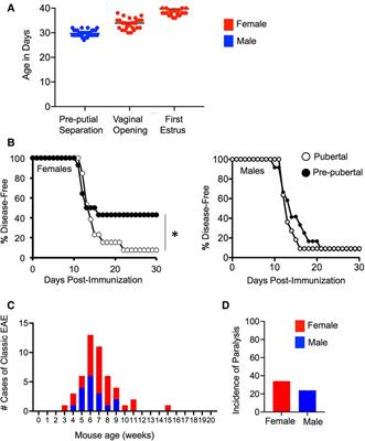 Effect of puberty on the immune system: Relevance to multiple sclerosis